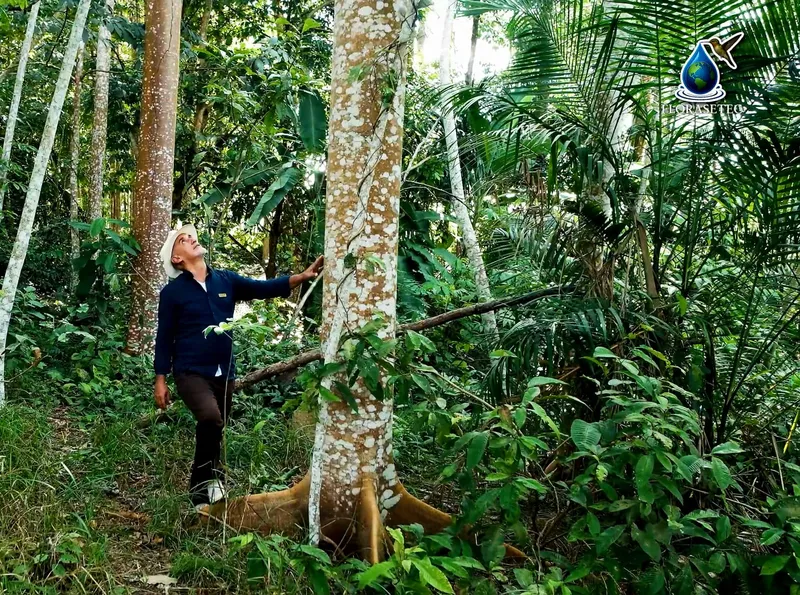 Adilson Pepino, consultor florestal da Florasetec, em área de mata recuperada