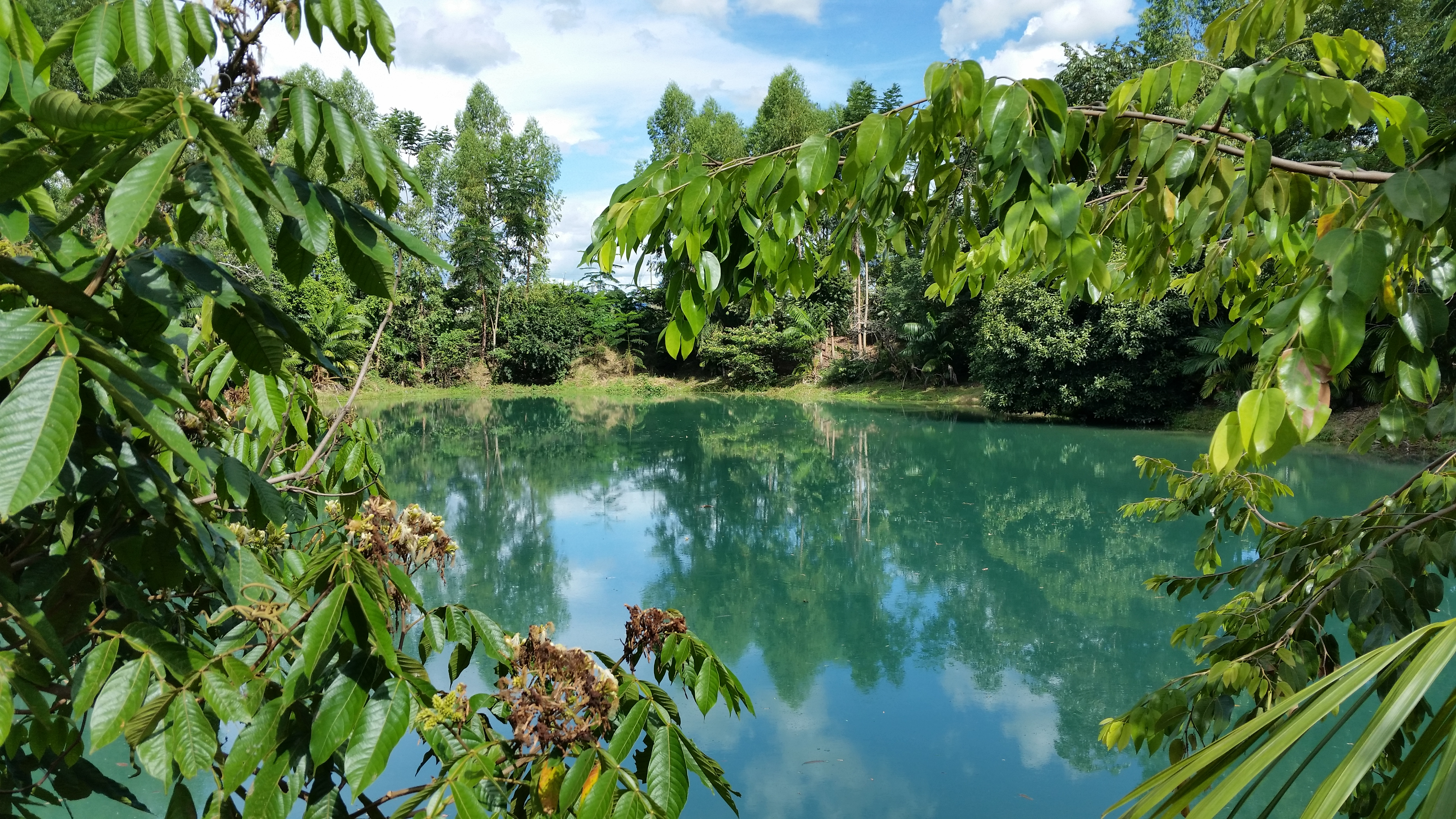 Floresta Amazônica
